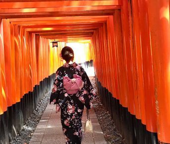 Навстречу гейшам и самураям. Япония на цветение и фестиваль 2026