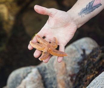 Соловки  Где Природа Встречается С Историей