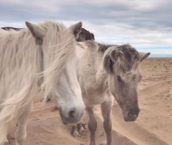 Терский берег Белого моря