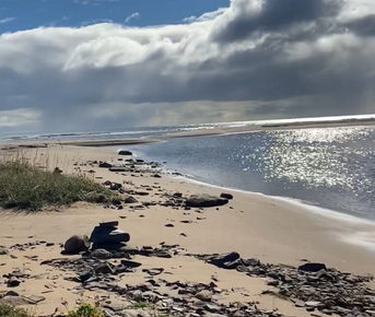 Экспедиция по Кольскому полуострову. Терский берег