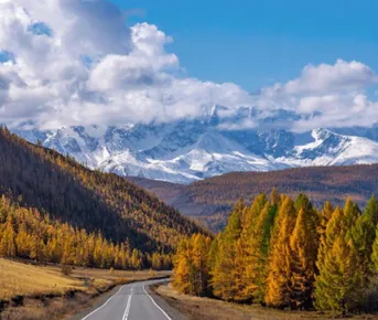 Золотое Кольцо Алтая 2026. Гейзерное озеро, шаман, Марс, Телецкое.