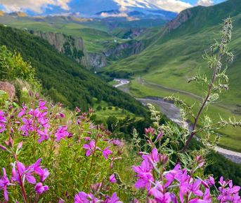 Тур выходного дня Перезагрузка