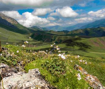 Владикавказ - Грозный - Ингушетия