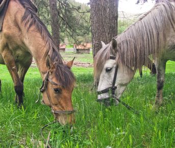 Поход по Уралу: горы и реки