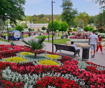 В гости на Кавказ!
