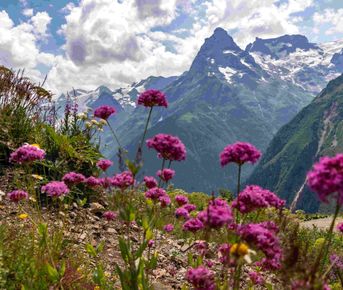 Встречи с чудесами Кавказа