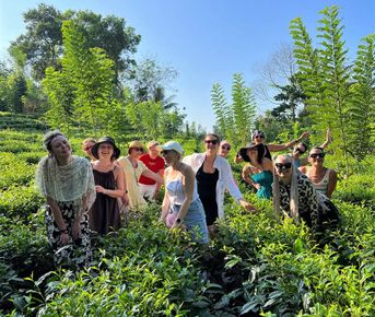 Тропическая сказка Шри-Ланки