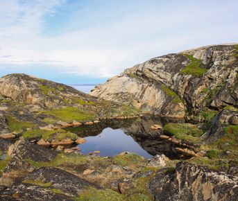Полуостров Немецкий: отдых на берегу Баренцева моря