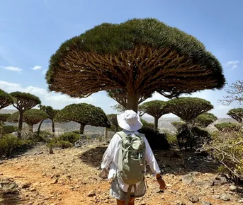 Сокотра без компромисов. Только вы и природа.