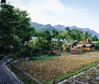 Туристический пакет «Май Чау Пу Луонг», 3 дня и 2 ночи из Ханоя 