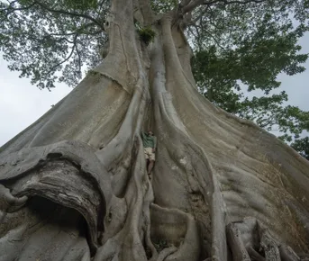  Бали: Серфинг, приключения и релакс