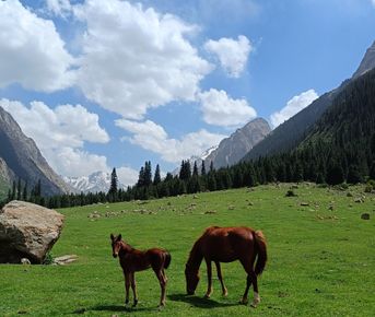 Индивидуальный VIP-тур по Кыргызстану: ваше идеальное путешествие