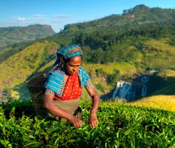 Тайская рапсодия. Яхт-тур по Таиланду. 8 дней.