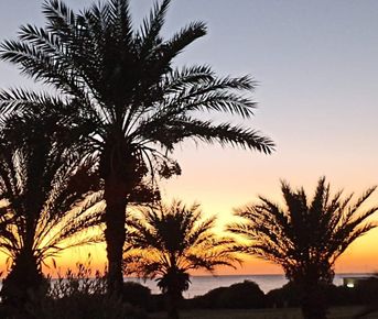 Разнообразная Абхазия ! 3 дня