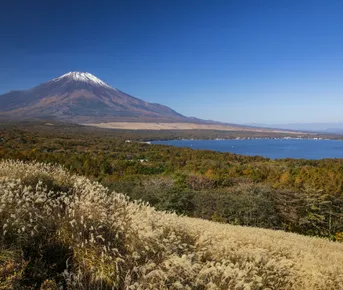  ЯПОНИЯ: великолепие Японии 6 дней