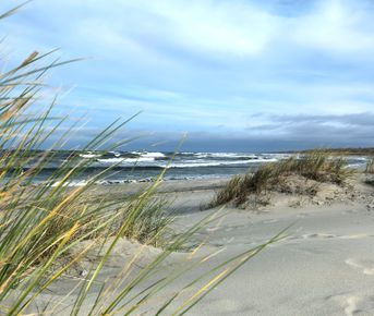 Активная неделя в Калининграде