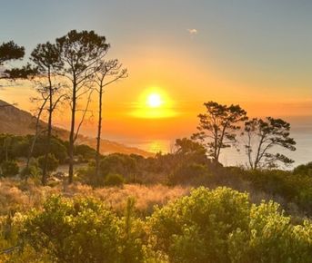 Кейптаун: знакомство с Южной Африкой