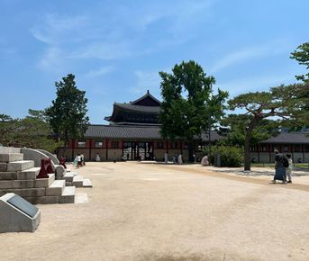 Весна в Южной Корее: Симфония Сакуры и Морского Бриза