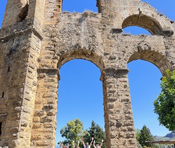 Грузия и Турция 