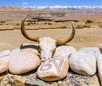 Экспедиция в  верхний Мустанг: запретное и мистическое королевство