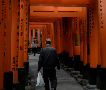 Япония: красные клены