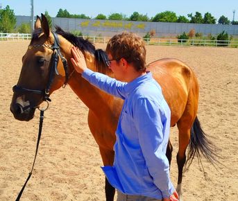 Тур Незабываемый Отдых В Туркменистане На 3 Дня