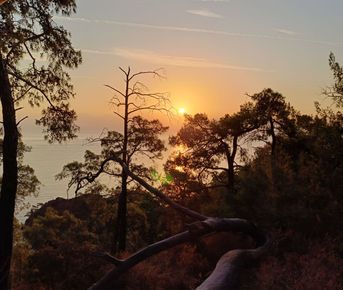 Йога-тур Энергия пяти стихий