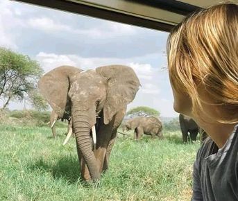 Откройте для себя Амбосели: 3-дневный отдых в дикой природе с видом на Килиманджаро