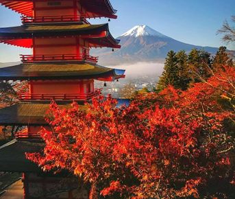 Япония, коротко о главном. Пик момидзи. Личный гид + водитель.