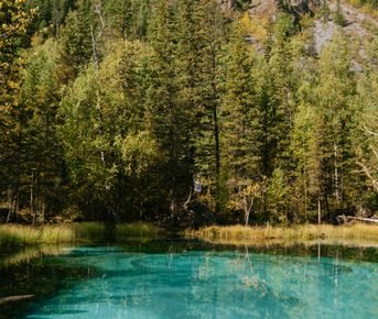 Лучшее на Алтае Летом, 5 дней