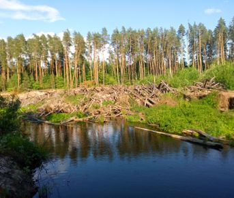 Сплав по реке Малая Кокшага Завал