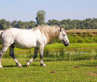 Выходные на реке Зилим