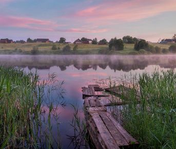 3 дня через лес. Легкий поход.