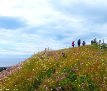 Отдых на Белом море: Пурнема и Лямца