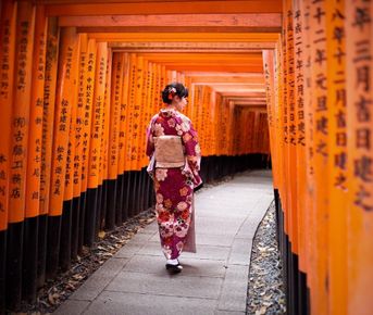 Все в сад. Сакура цветет!