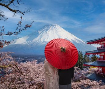 Япония - большое путешествие!