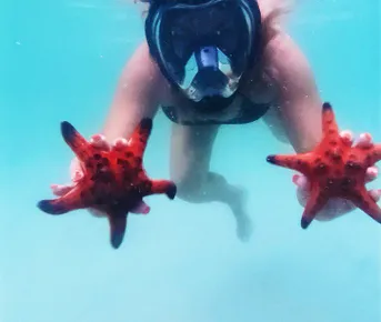 Вау Фукуок за 9 дней