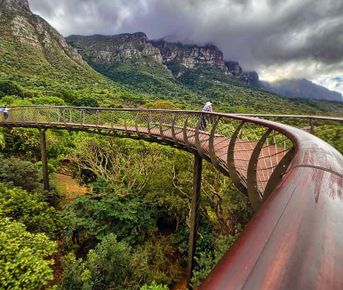 По дорогам садов