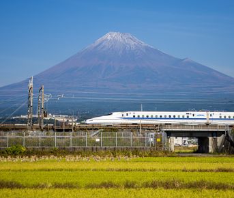 Ваби Саби - Душа Японии