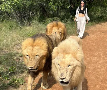 Твоя яркая Африка: ЮАР + Замбия + Зимбабве