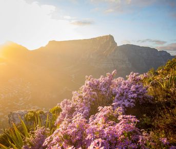 ЮАР. Сафари и киты