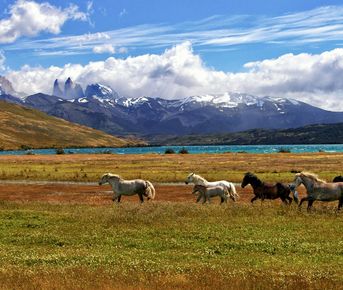 Патагония. Аргентина и Чили