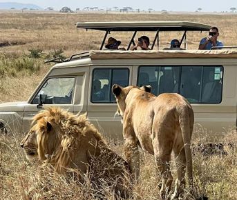 Масаи Мара с ограниченным бюджетом — 4-дневное групповое сафари