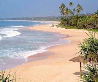 Активный Йога-тур и перезагрузка на Шри-Ланке  Все Сбудется!!