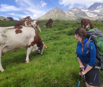 Поход вокруг Монблана