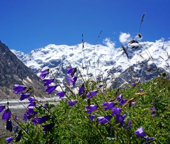 Треккинг в Безенги. Комфорт-тур с гостиницей.