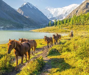 Йога-тур на Алтай к священной горе Белуха: Выход на новый уровень