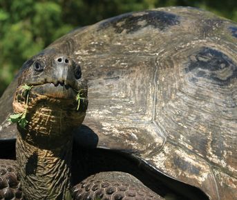 Новый год в Эквадоре. Групповой тур!