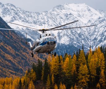 Шумак. Путешествие в место силы.