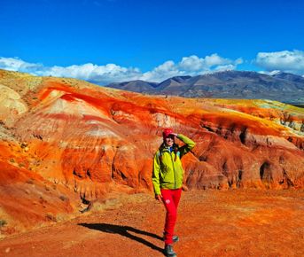 Цветение Маральника На Алте